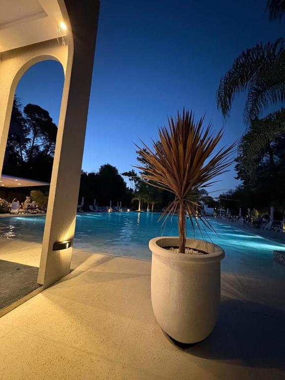 Parque Hotel - 4