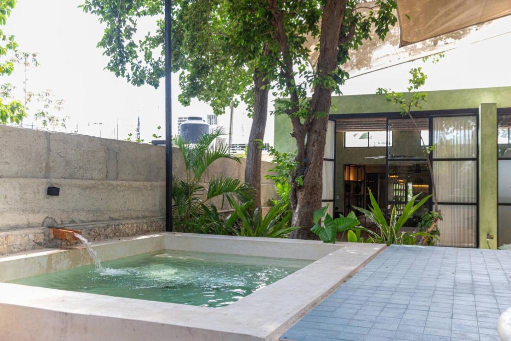 Casa Yaax. Urban oasis in Merida - 2