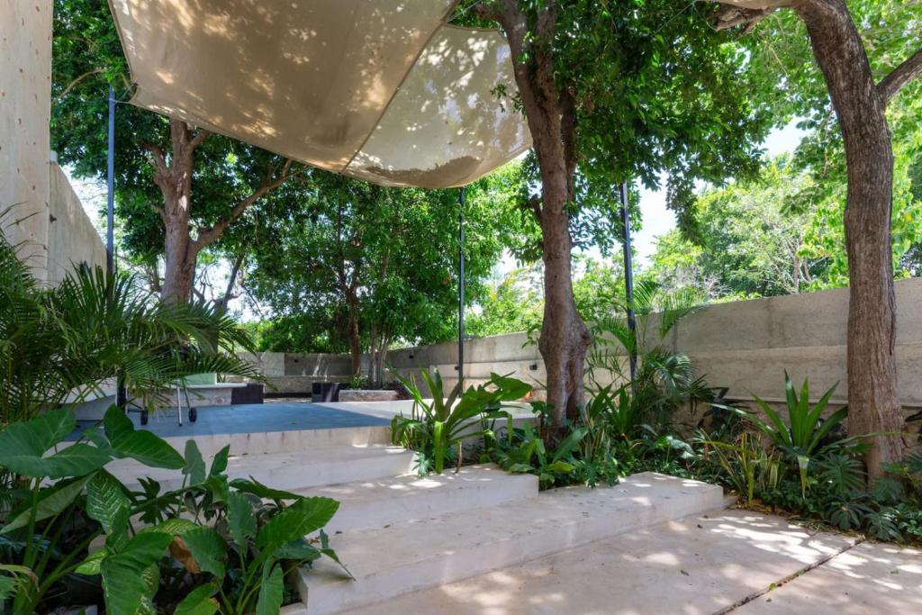 Casa Yaax. Urban oasis in Merida - 4