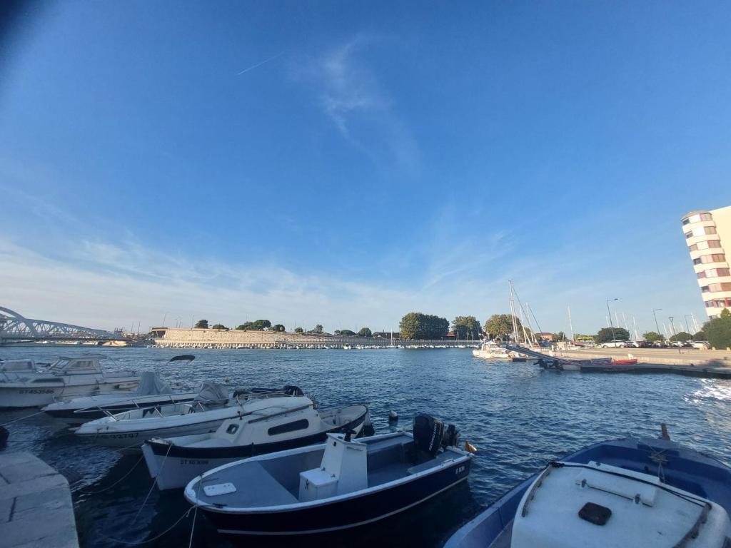 Sète le quai de Bosc - 1