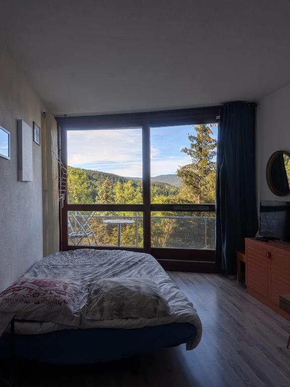 Studio aux pieds des pistes - Le Balcon de Villard - 2