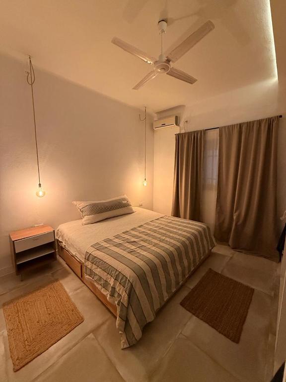Casa Palma - 5
