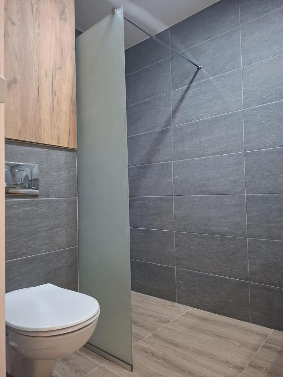 Kopaonik, Studio Apartment K17 - 5