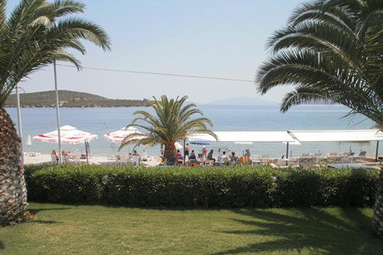 Hotel Margarita photo