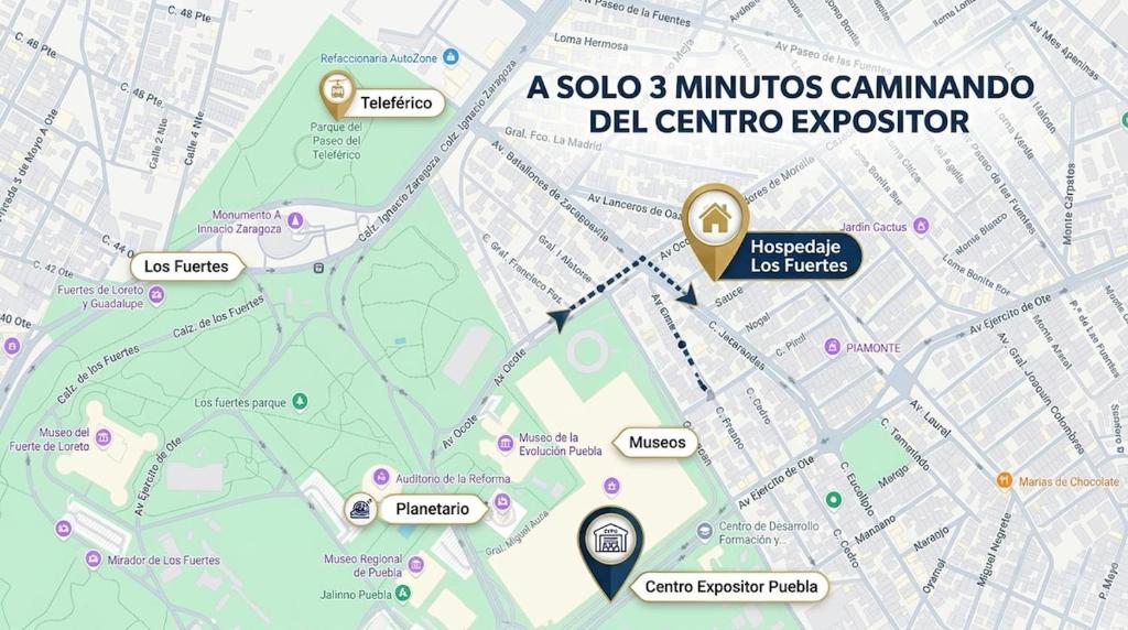 Loft Privado, Centro Expositor Puebla - 5