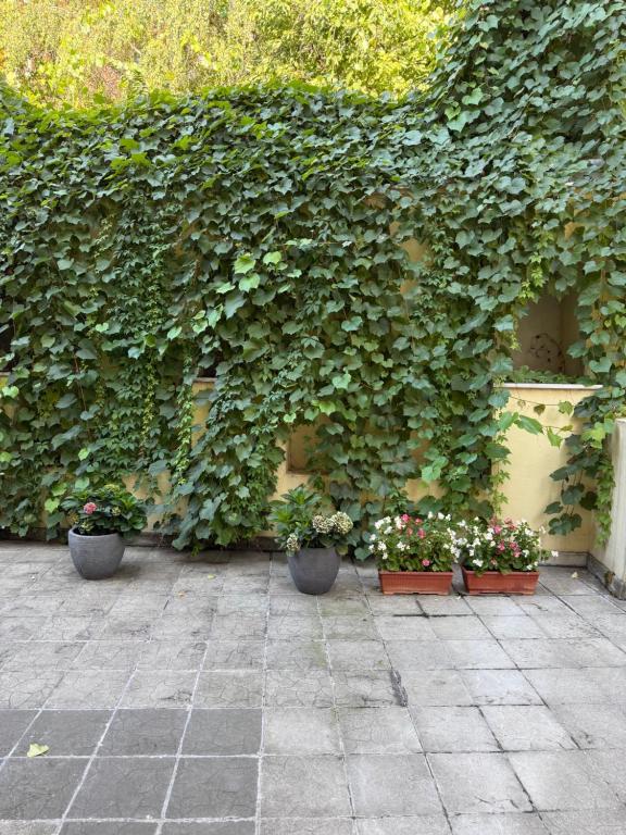 Apartman Milunka - 3