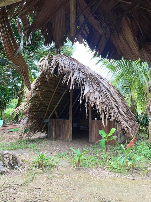 Hostal ladrillerossurf - 3