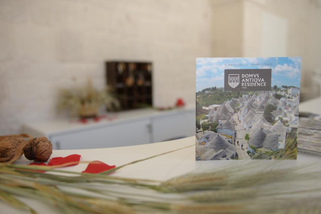 Domus Antiqua Residence photo