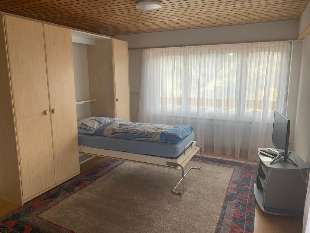 Haus Panorama Wohnung Bietschhorn - 3