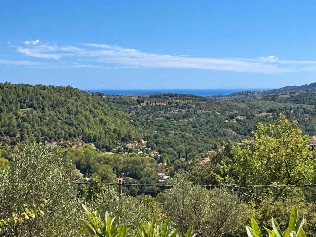 Villa provençale 4 chambres avec piscine, vue panoramique et pétanque - 2