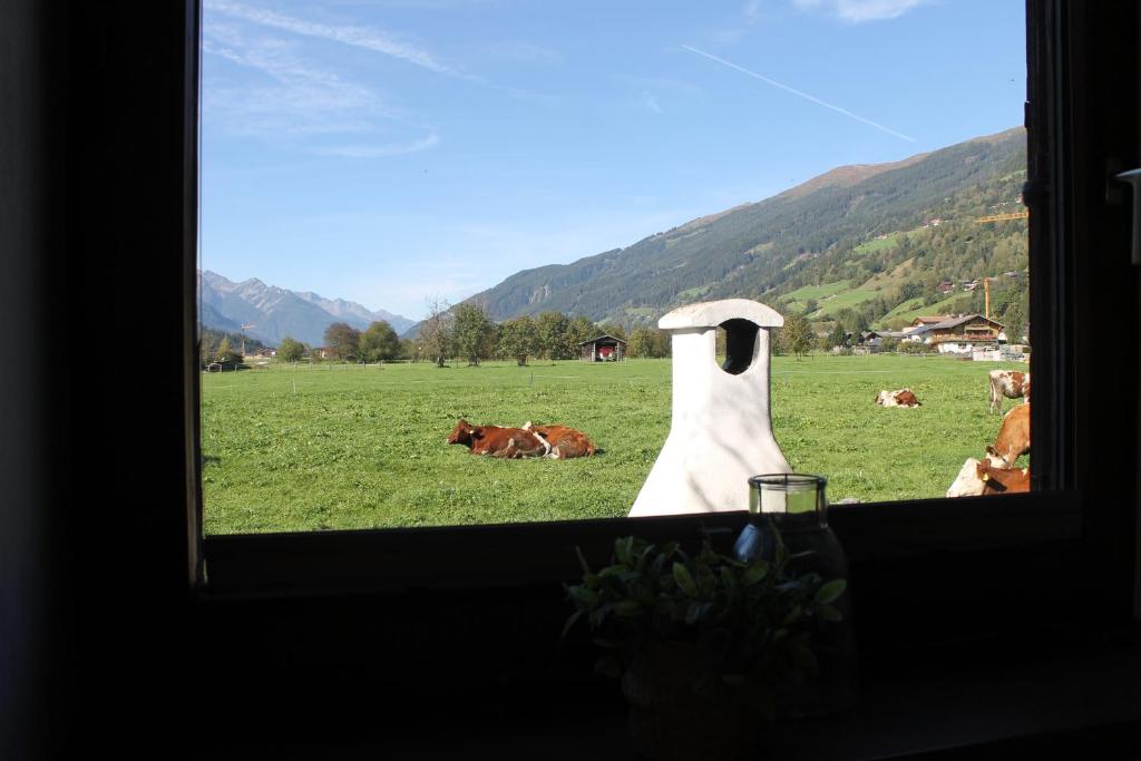 Ferienwohnung Smit mit Hohe Tauern sommercard - 5