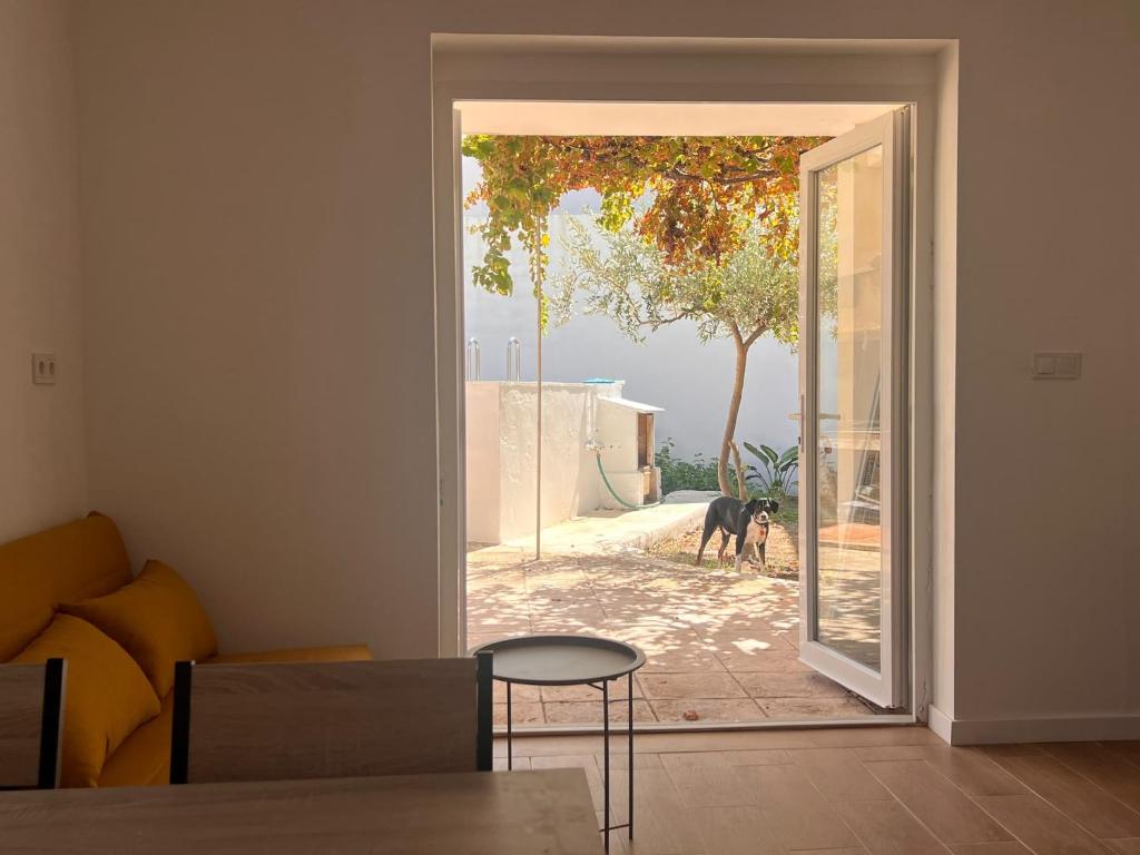 Blau Terranova LLevant - Private Garden & Pool - 4