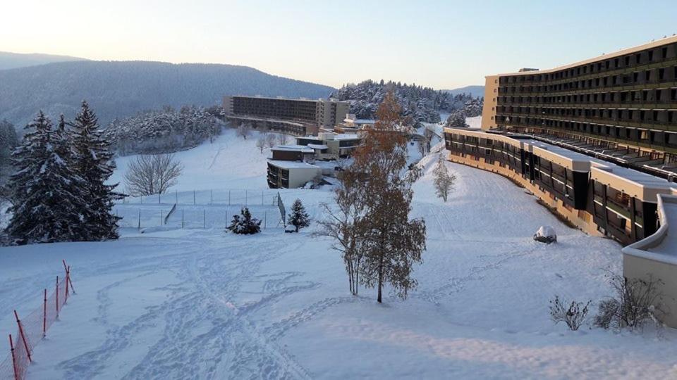 Grand Studio 42 m2 avec loggia vues montagne et pistes parking et navettes gratuites - 2