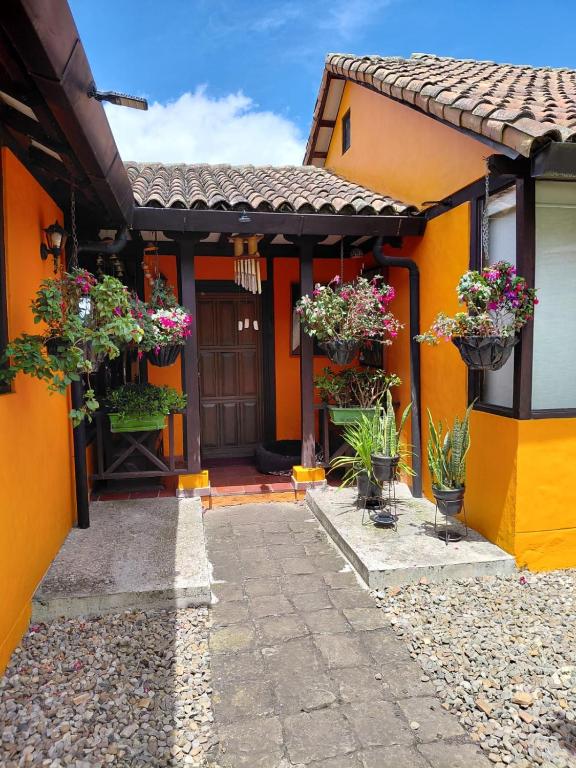 Finca Chiala - 4