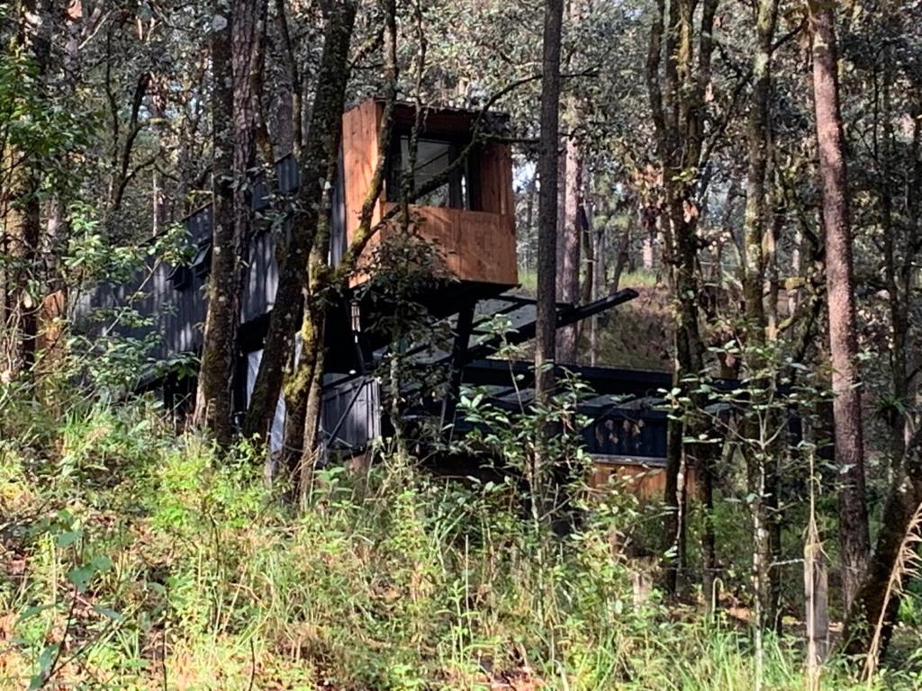 Container House en el bosque con jacuzzi privado - 2