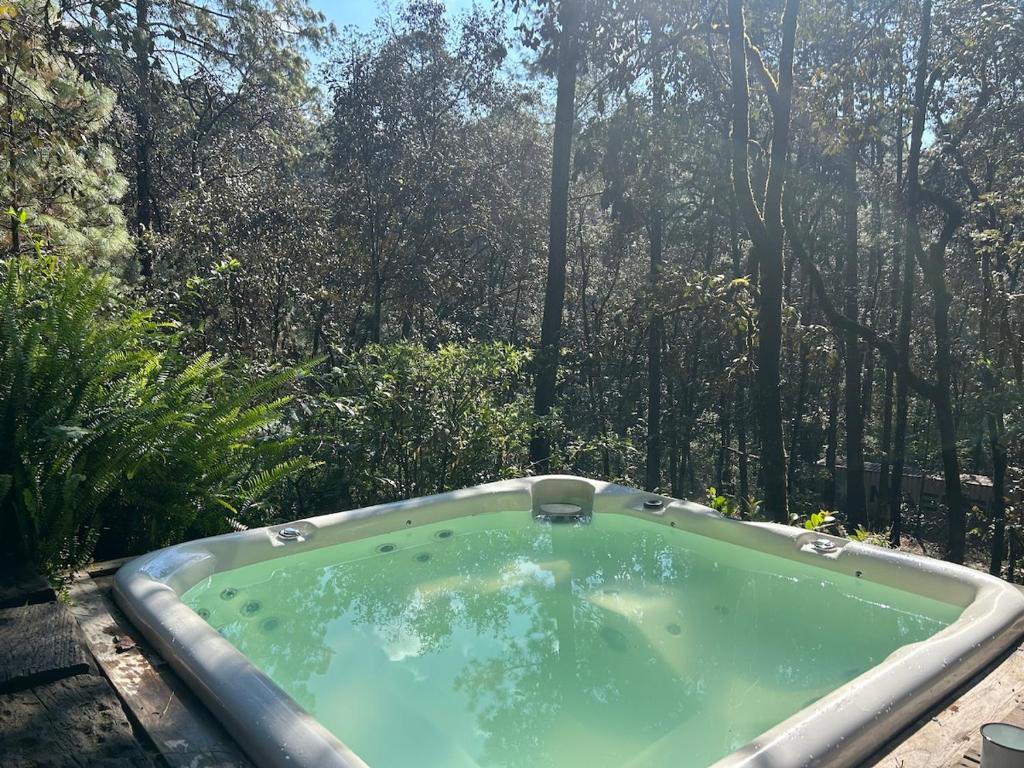 Container House en el bosque con jacuzzi privado - 4