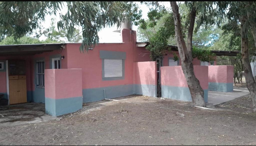 Lo de mirta - 2