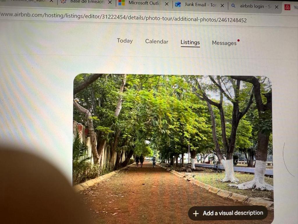 Well Located Studio near Paseo Montejo - 2