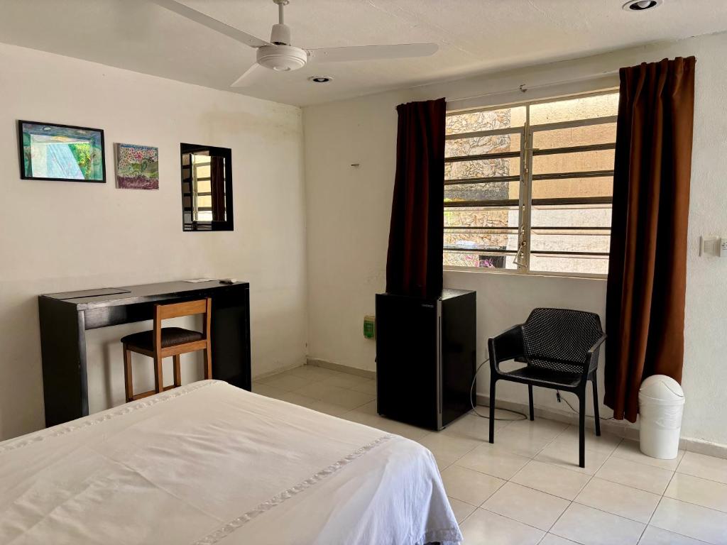 Well Located Studio near Paseo Montejo - 3