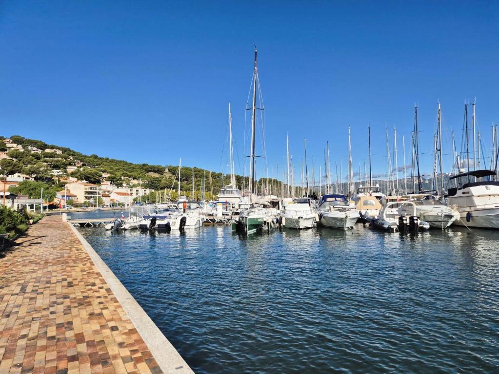 Maison de charme avec piscine, climatisé, WIFI, à deux pas du port et des plages - 3