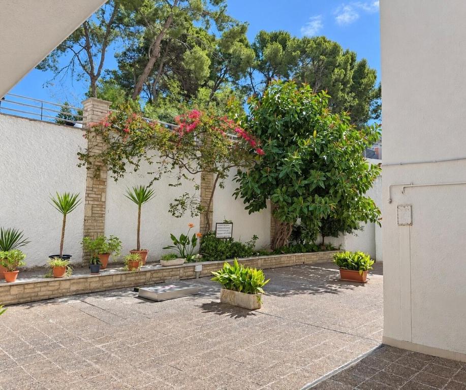 Cozy renovated apartment just two minutes from the sea - 5