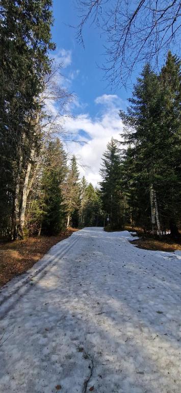 T2 rénové au pied du belvédère du Revard - 4