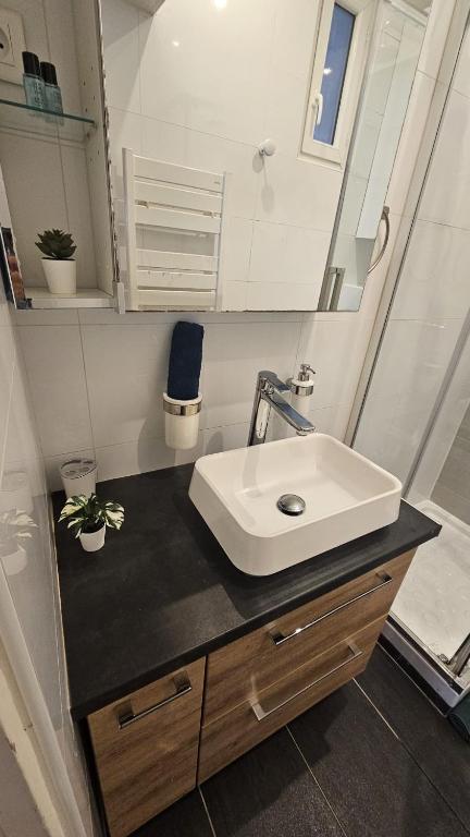 TRES BEL APPARTEMENT RENOVE QUARTIER TOUR EIFFEL - PONT De BIR-HAKEIM - 3