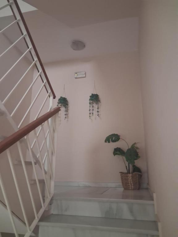 Hostal Puerta Carmona - 5