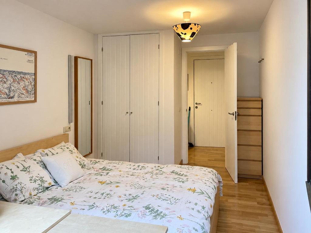 Cozy apartments in Benasque - 2
