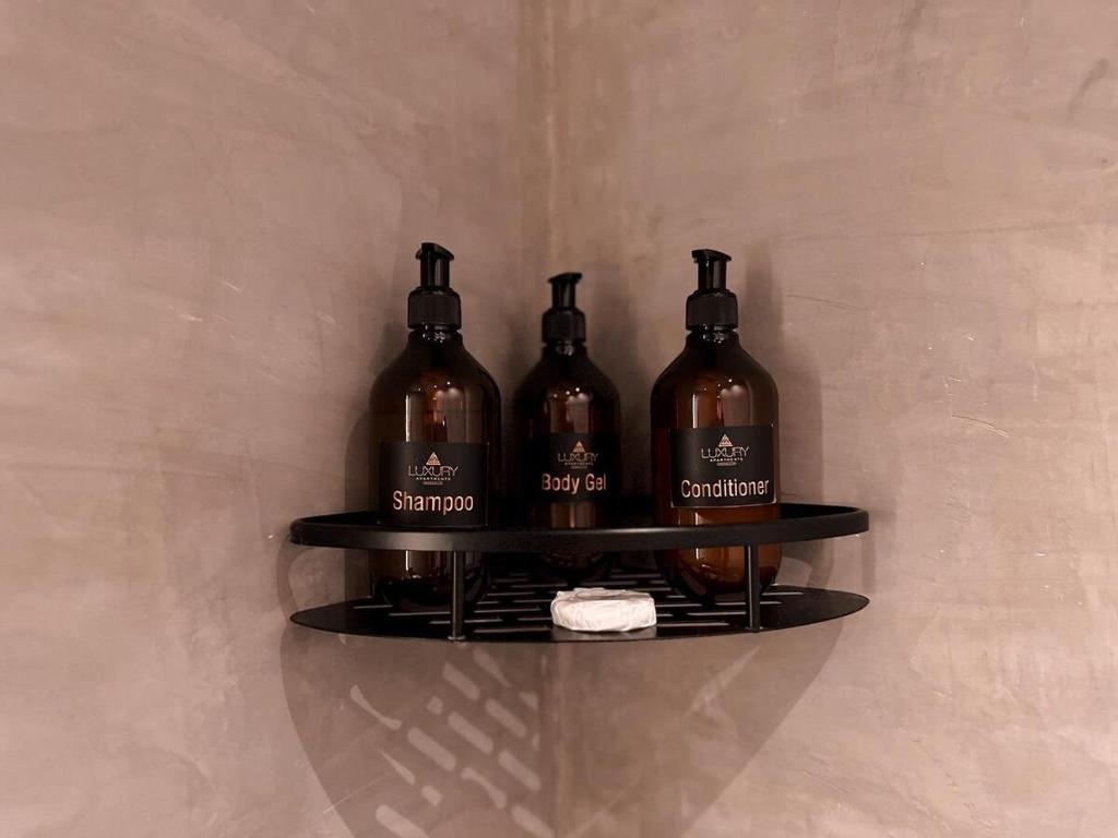 Luxury penthouse in Provenza - 4