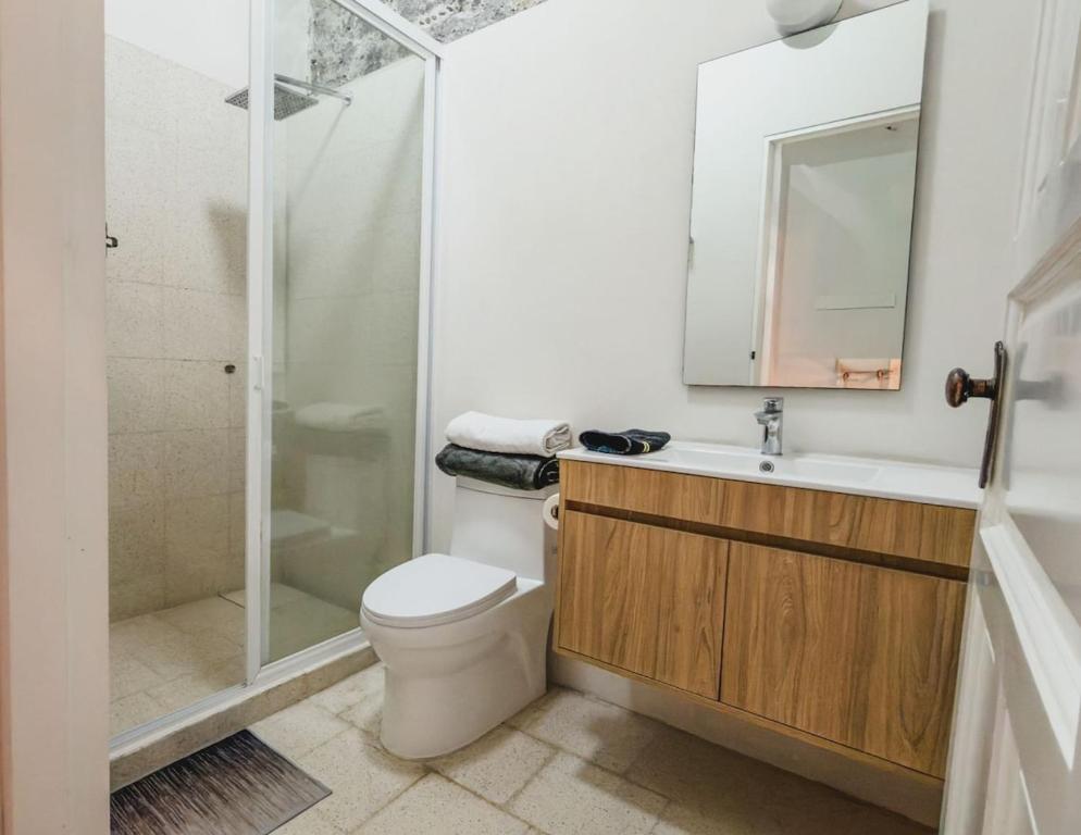 Premium Historic Loft 1 minute from the Cathedral - 5