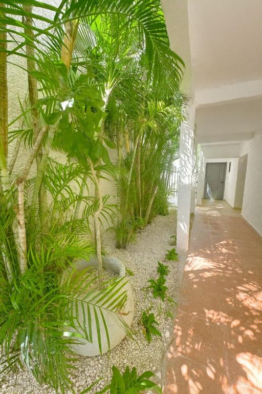 301 Apartment Hotel Zone 10 min walk to the Beach - 2