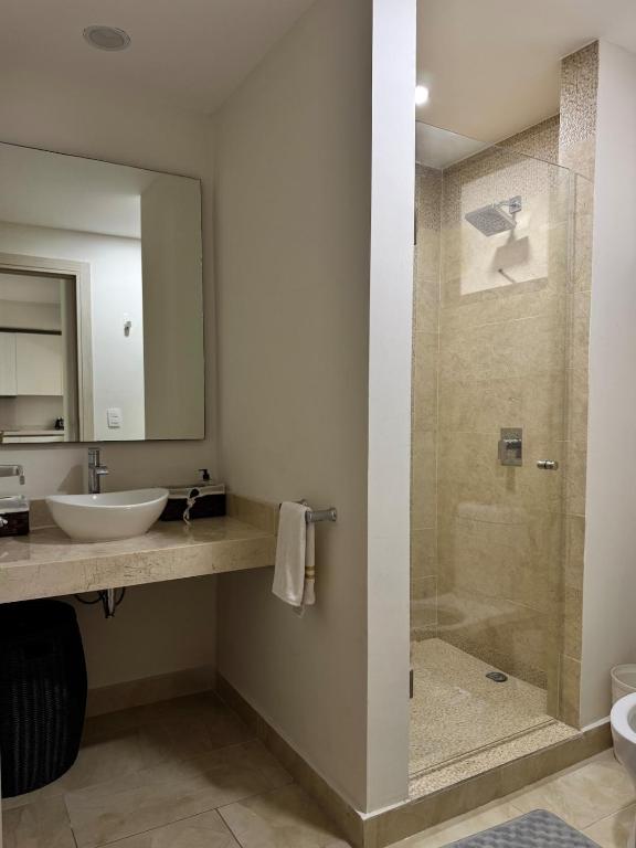2 Bedroom in stunning Playa Del Carmen Cancun near - 4