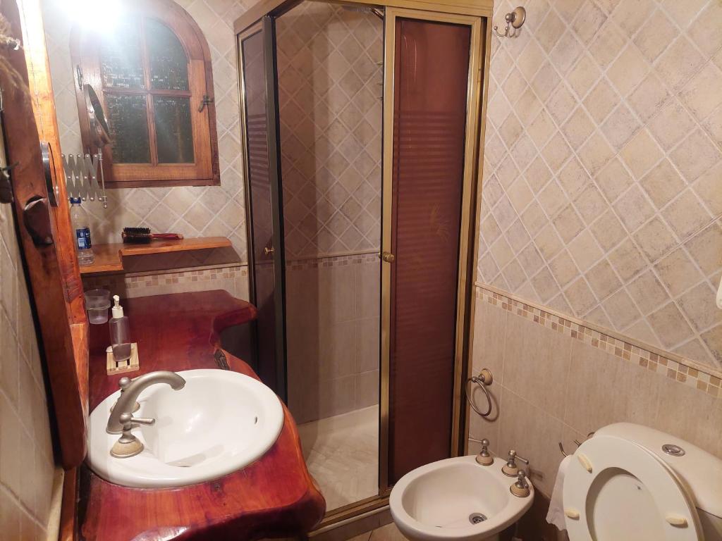 La Cabaña del Aldrey - 5