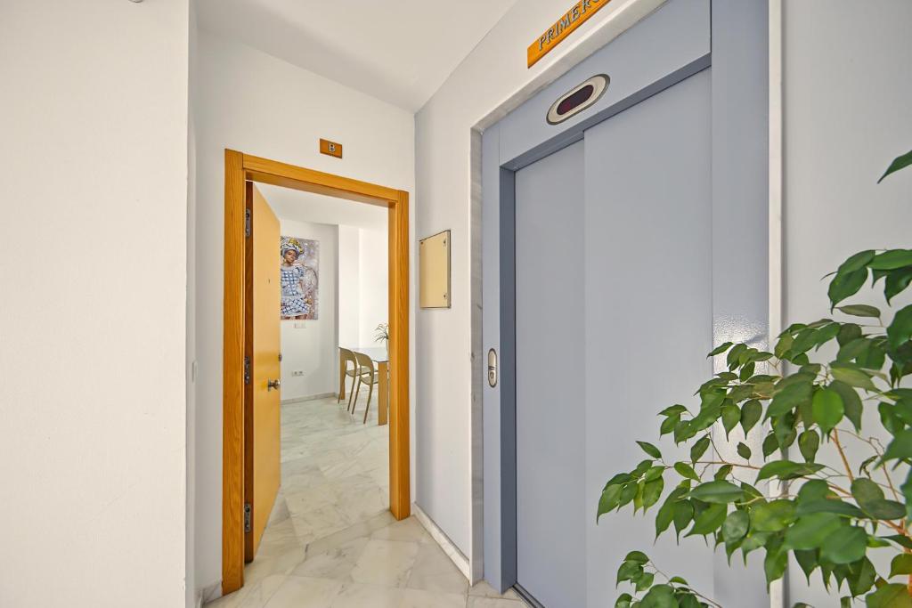 Apartamentos Goya - 3