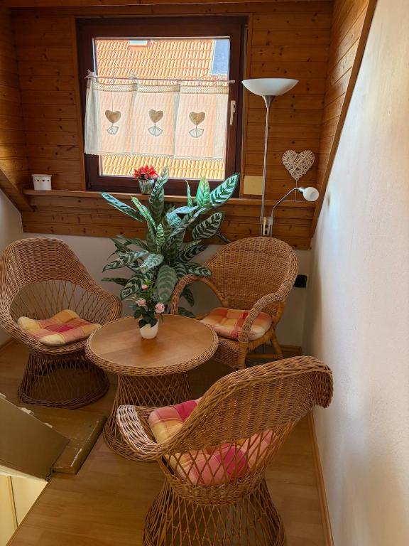 Allgäu-Nest - mitten im Grünen und guter Anbindung - 3