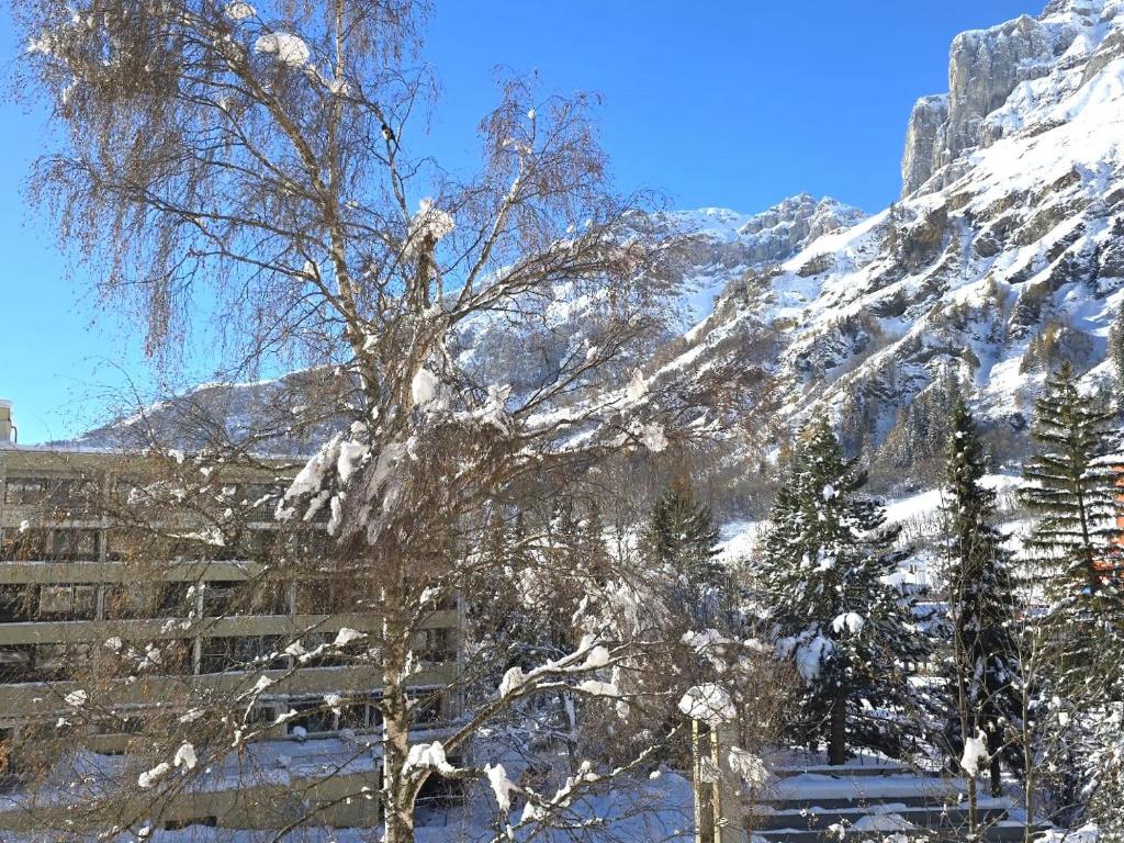 Mayenzett 25, komplett renoviert, vis-à-vis Klinik & Thermalbad - 3