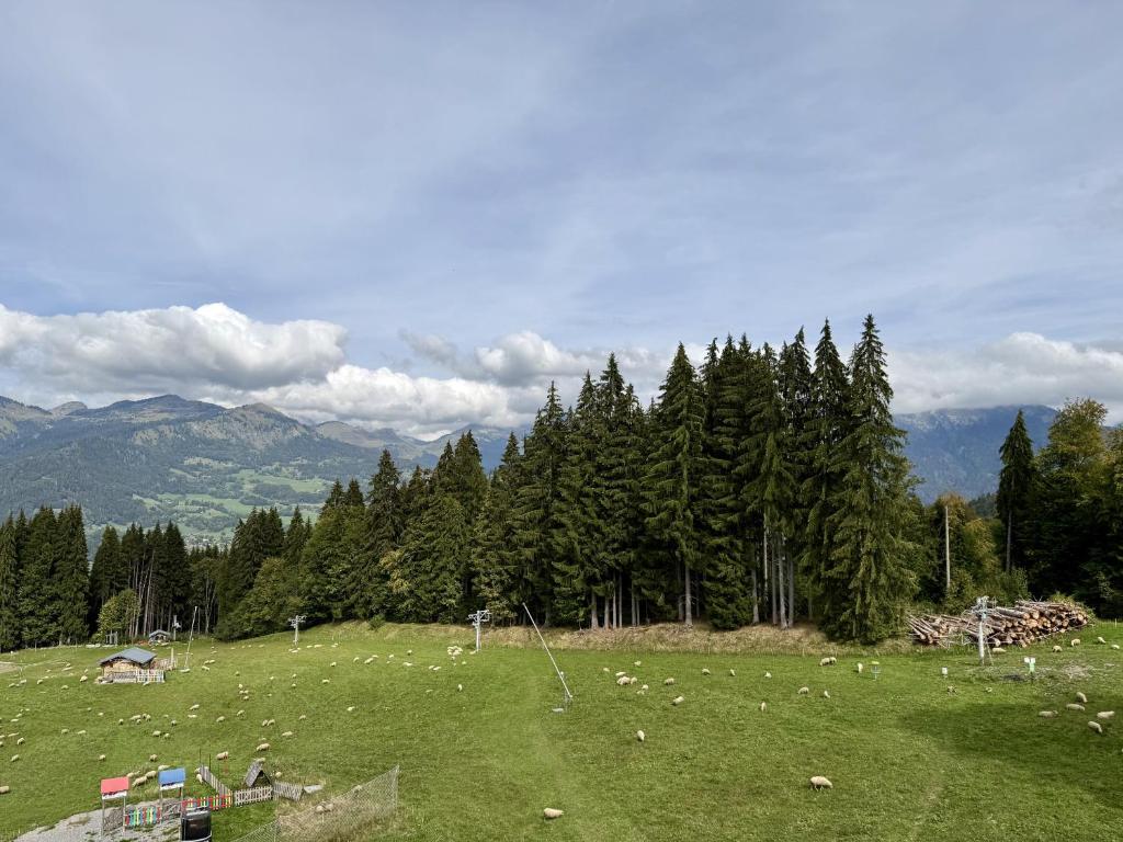 Les Hauts des Esserts N34 - 3P6 - 2