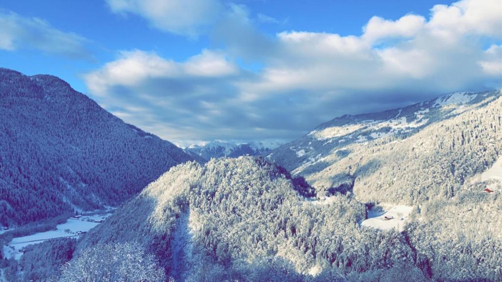 Grand Chalet Beaufortain 12 pers - 5