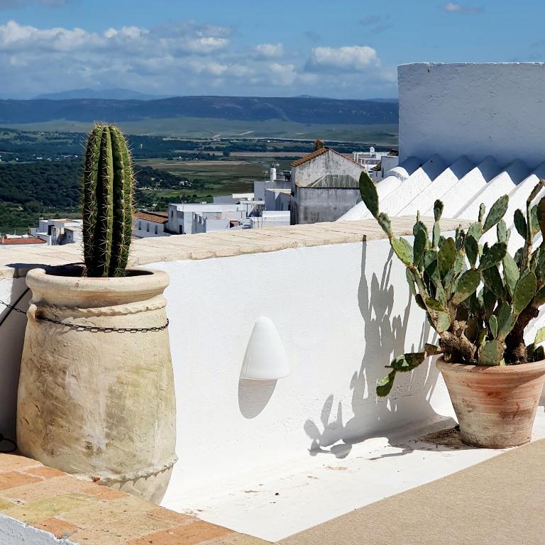 Canalejas 3 Vejer - 3