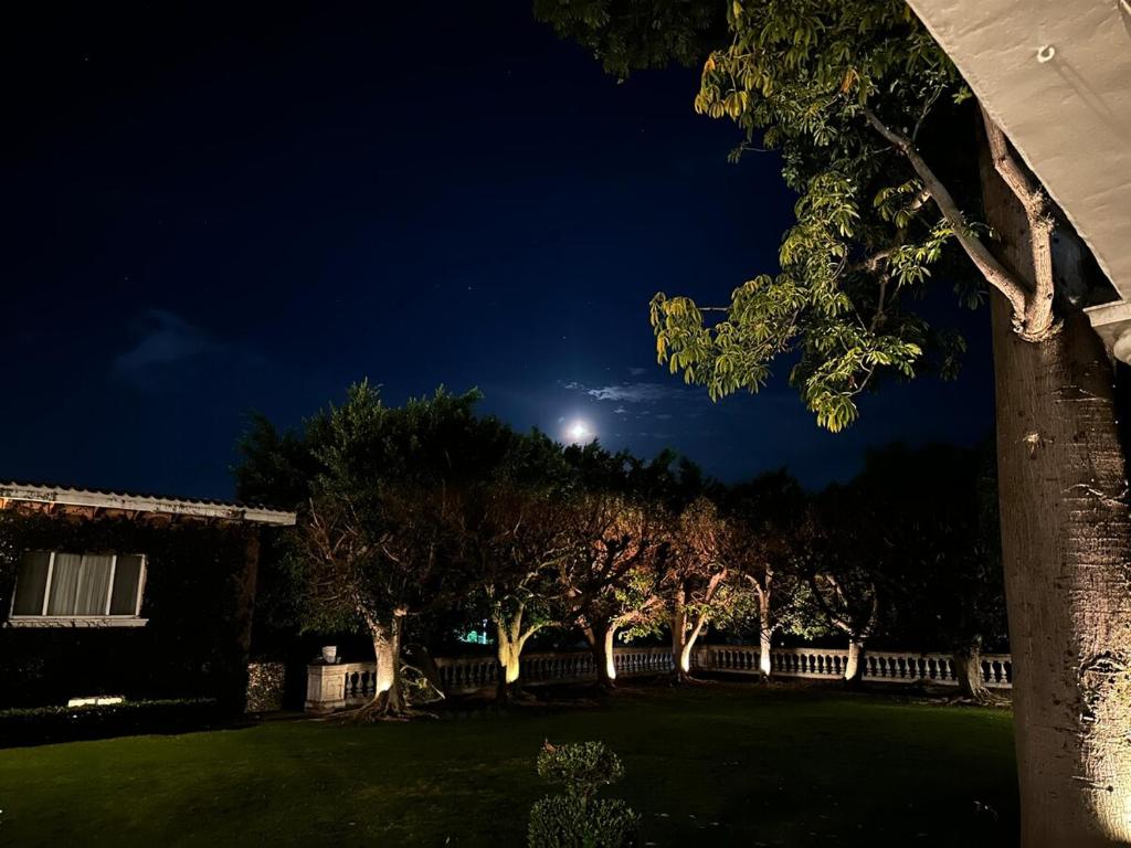 Casa Carlota Exclusive Mansion Pool & Garden - 2
