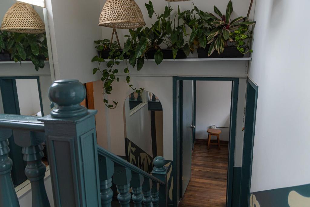 Casa Lolo Hostal - 2