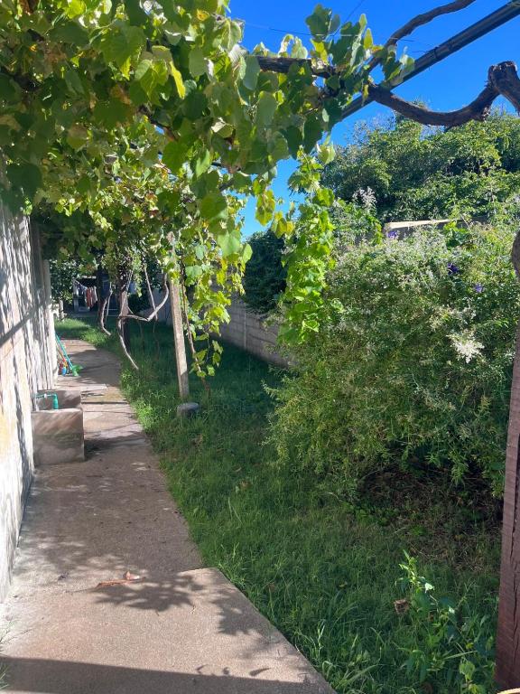 Casa, gran jardín rodeada de frutales, a minutos de sitios turísticos - 5