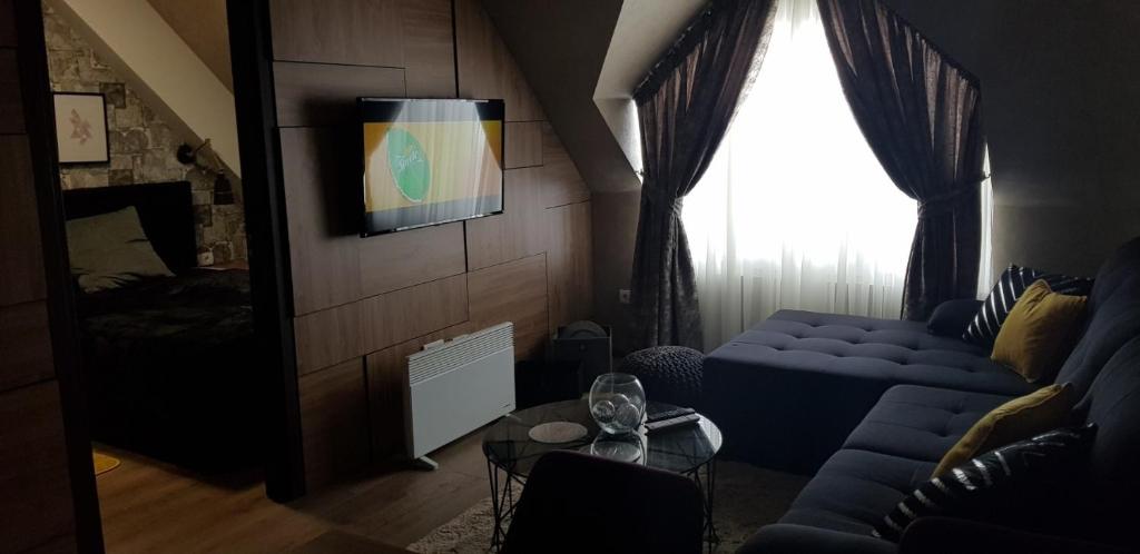 Kraljevi Čardaci apartman Rajković - 1
