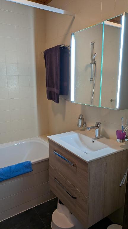 Chalet Iris, appartement 6 - 3
