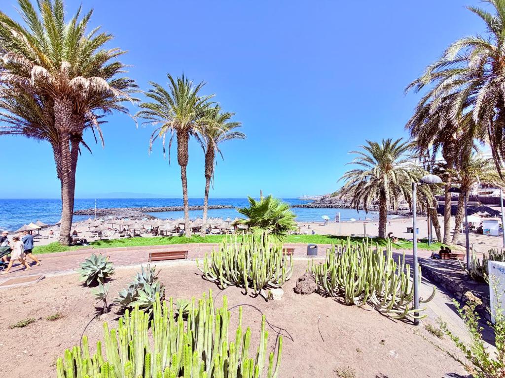 Victoria Beachfront Studio 1, Central Location Las Americas - 5