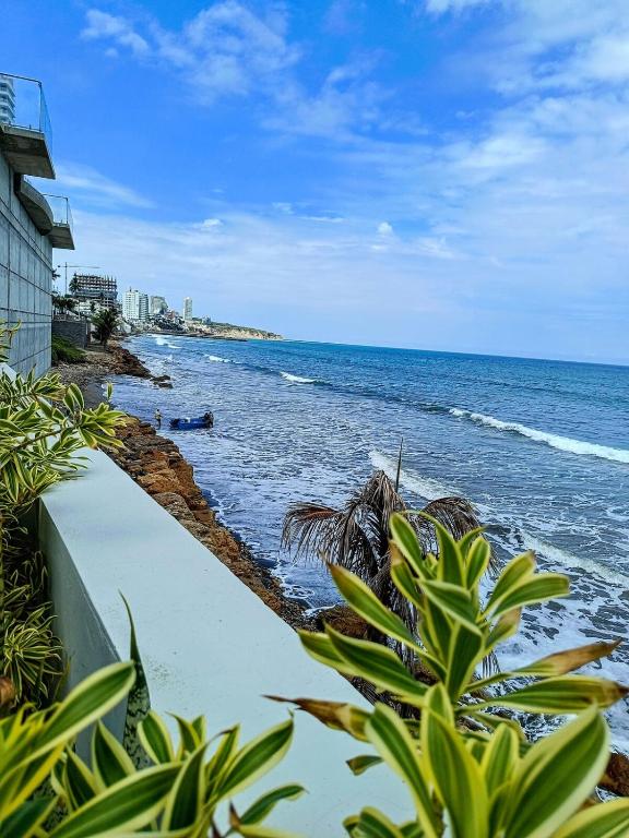 Apartamento con Salida Privada a Playa Murciélago - 5