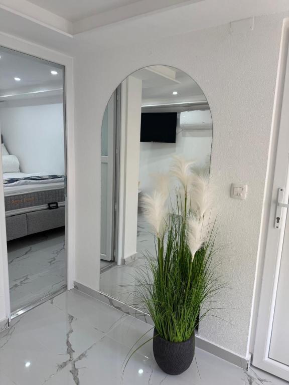 Stefan Apartman - 4