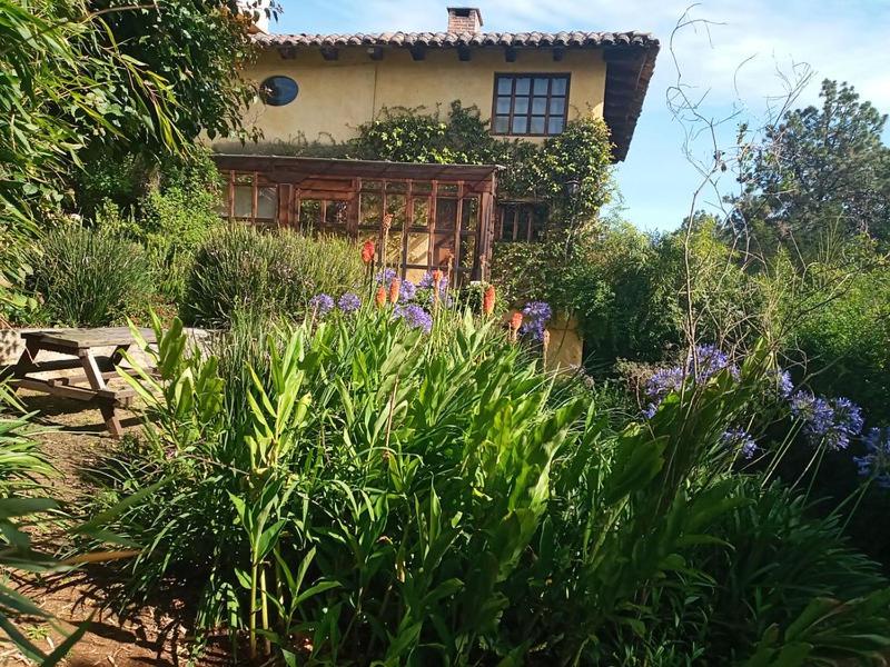 Oasis en San Cristobal - 1