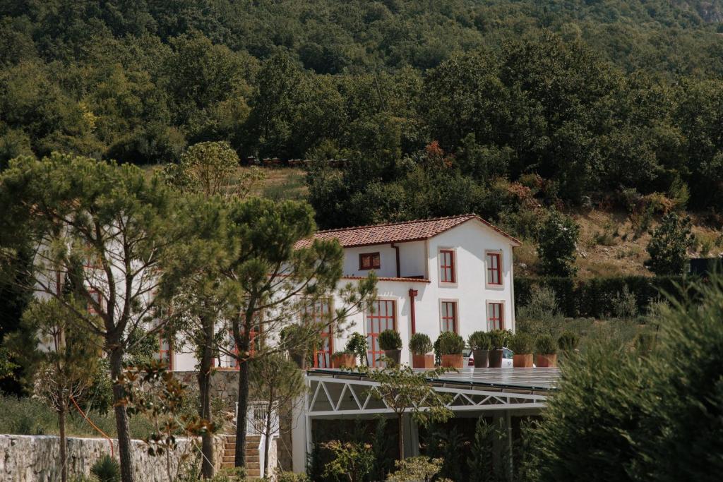 Bijeli Brijeg Country House - 5